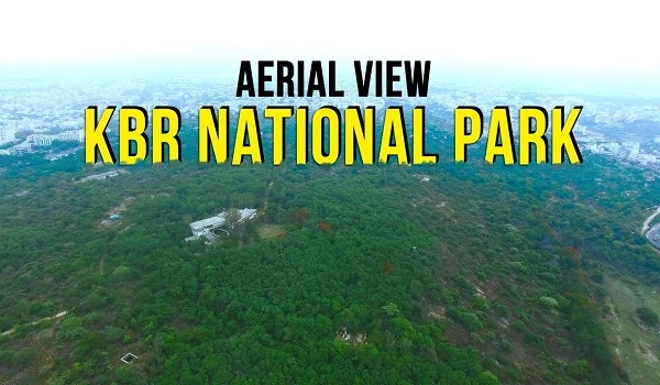 Featured Image of Kasu Brahmanandha Reddy National Park (Kbr)