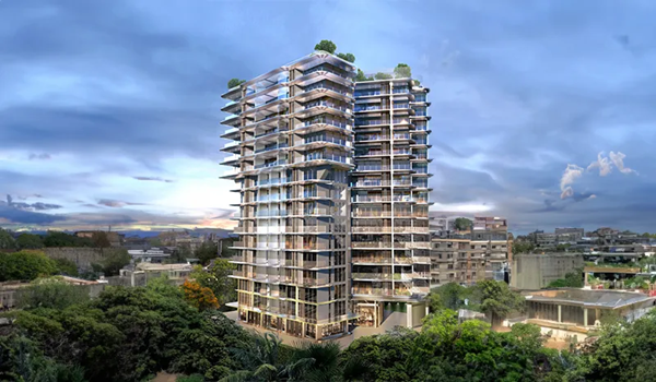 Featured Image of Prestige Daffodils