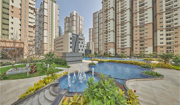 Featured Image of Prestige High Fields